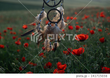 Dreamcatcher Moving in Wind Against Blooming Poppy Field at Sunset. Dreamcatcher Moving in Wind Against Blooming Poppy Field at Sunset. 141715038