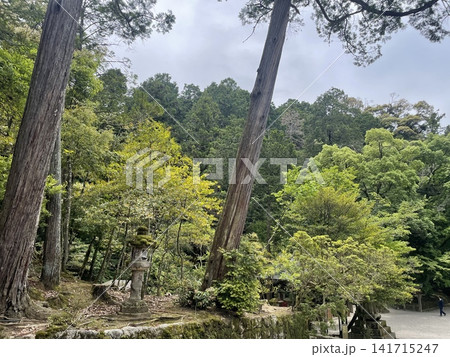 奈良県石上神宮の境内の風景 奈良県石上神宮の境内の風景 141715247