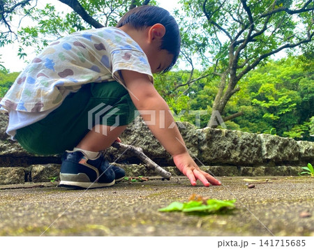 地面の枝を手に遊ぶ幼児 地面の枝を手に遊ぶ幼児 141715685