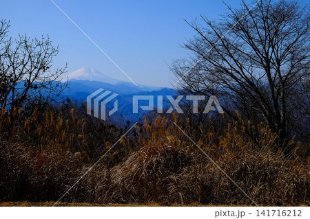 【神奈川県】陣場山から見た冬の富士山と木立 【神奈川県】陣場山から見た冬の富士山と木立 141716212