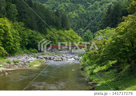 愛知県豊田市・新緑の香嵐渓と巴川 愛知県豊田市・新緑の香嵐渓と巴川 141717279
