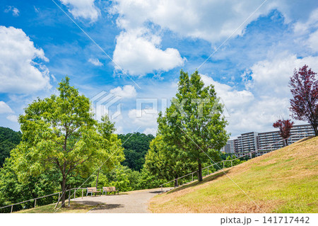 彩都西公園 大阪府茨木市 彩都西公園 大阪府茨木市 141717442