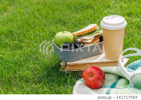 Picnic on a lawn with books, sandwiches, fruits, and coffee 141717503