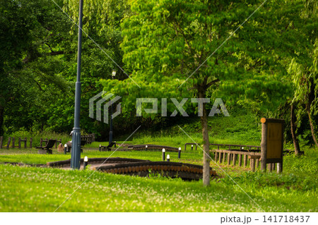 新緑に包まれる小野川温泉周辺の公園と遊歩道の風景 141718437