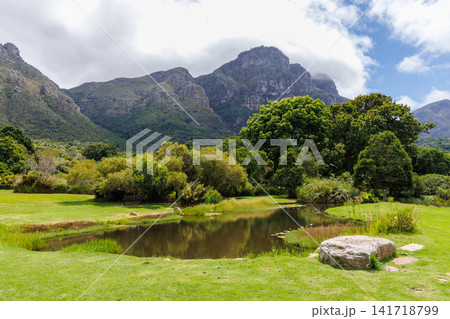 Lush landscape with lake in South Africa 141718799
