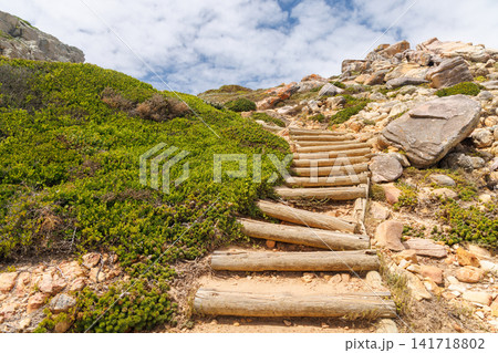 Hiking trail at Cape of Good Hope Hiking trail at Cape of Good Hope 141718802