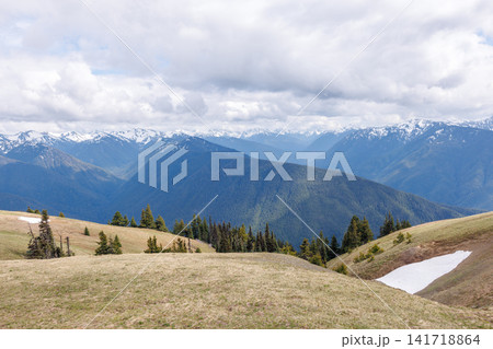 Olympic National Park with mountains and by tall, dense forest Olympic National Park with mountains and by tall, dense forest 141718864