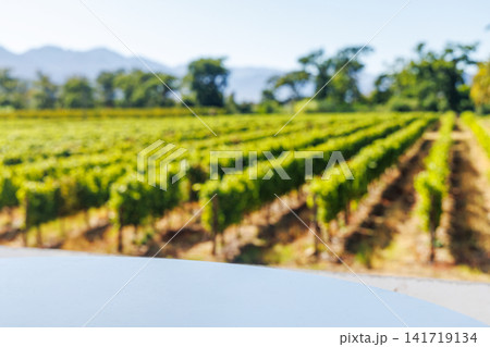 Empty table in sunlit vineyard mockup Empty table in sunlit vineyard mockup 141719134