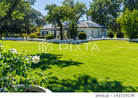 Winery mansion surrounded by greenery in South Africa Winery mansion surrounded by greenery in South Africa 141719136
