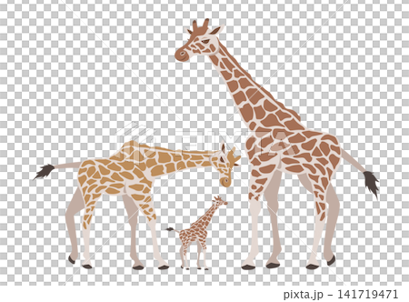 Giraffe family Giraffe family 141719471