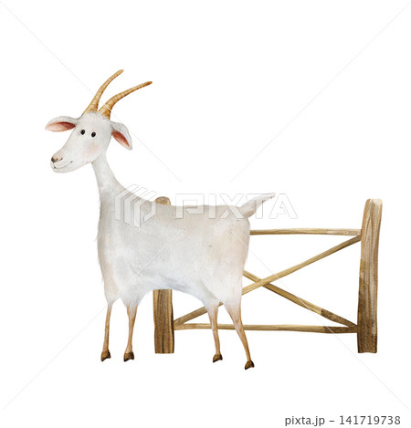 Watercolor illustration of white goat standing next to wooden fence. Goat is hand drawn, style for children's design or farmhouse decor on isolated white background. Farm animal Watercolor illustration of white goat standing next to wooden fence. Goat is hand drawn, style for children's design or farmhouse decor on isolated white background. Farm animal 141719738