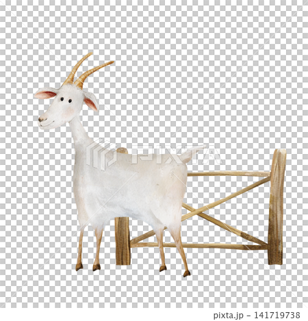 Watercolor illustration of white goat standing next to wooden fence. Goat is hand drawn, style for children's design or farmhouse decor on isolated white background. Farm animal Watercolor illustration of white goat standing next to wooden fence. Goat is hand drawn, style for children's design or farmhouse decor on isolated white background. Farm animal 141719738
