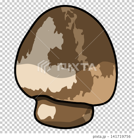 Straw Mushroom Colorful Cartoon Vector Illustration Straw Mushroom Colorful Cartoon Vector Illustration 141719756