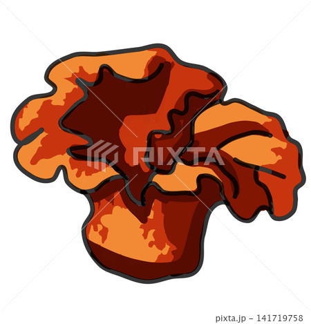 Lobster Mushroom Colorful Cartoon Vector Illustration Lobster Mushroom Colorful Cartoon Vector Illustration 141719758