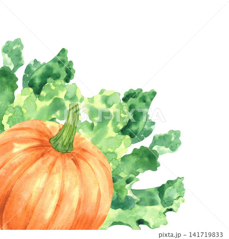 Corner composition of the pumpkin and lettuce. Watercolor illustration. Handmade art work. For packaging design, cards, cover, prints, product labels and fabric. Corner composition of the pumpkin and lettuce. Watercolor illustration. Handmade art work. For packaging design, cards, cover, prints, product labels and fabric. 141719833