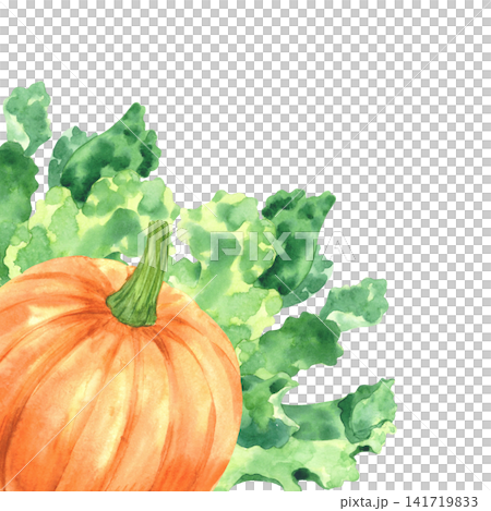 Corner composition of the pumpkin and lettuce. Watercolor illustration. Handmade art work. For packaging design, cards, cover, prints, product labels and fabric. Corner composition of the pumpkin and lettuce. Watercolor illustration. Handmade art work. For packaging design, cards, cover, prints, product labels and fabric. 141719833