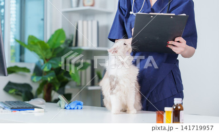 Veterinarian taking medical notes on clipboard during cat examination in clinic Veterinarian taking medical notes on clipboard during cat examination in clinic 141719957