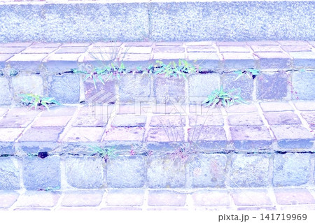 石段の隙間から生える雑草と古い石畳のテクスチャ背景 石段の隙間から生える雑草と古い石畳のテクスチャ背景 141719969