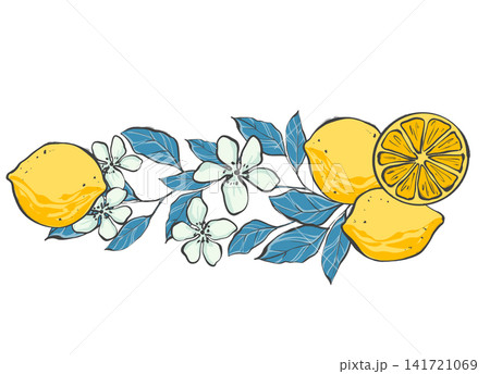 Botanical composition featuring whole yellow lemons, citrus slice, white flowers and blue leaves on white background. Original hand drawn illustration ideal for Mediterranean style stationery, kitchen 141721069