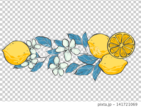 Botanical composition featuring whole yellow lemons, citrus slice, white flowers and blue leaves on white background. Original hand drawn illustration ideal for Mediterranean style stationery, kitchen 141721069