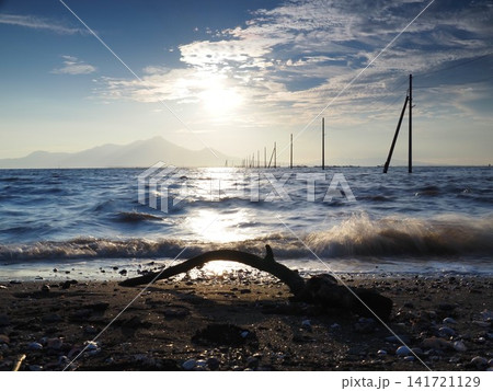 浜辺の流木と波 浜辺の流木と波 141721129