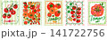 Colorful tomato label collection 141722756