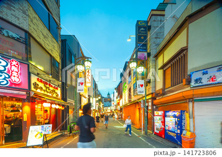 夜の新宿歌舞伎町・さくら通り 夜の新宿歌舞伎町・さくら通り 141723806
