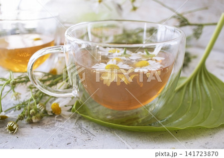 Chamomile herbal tea in a glass cup with fresh flowers. Healing herbal chamomile tea in a glass teapot and cup with fresh flowers. Chamomile herbal tea in a glass cup with fresh flowers. Healing herbal chamomile tea in a glass teapot and cup with fresh flowers. 141723870