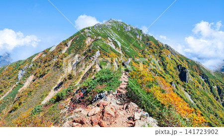 秋の針ノ木岳・蓮華岳登山（針ノ木岳～蓮華岳） 141723902