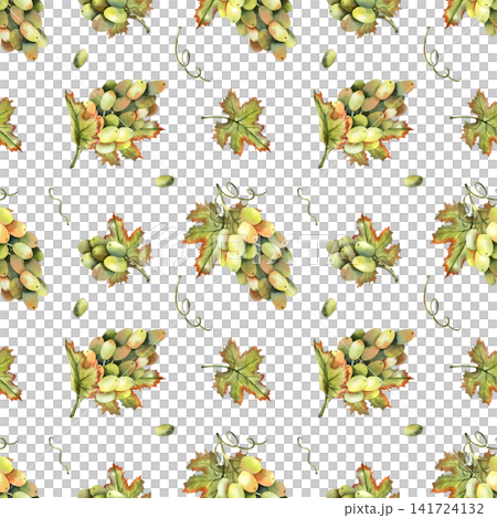 White grapes watercolor seamless pattern. Hand drawn repeatable grapevine, fresh berries, green leaves isolated on white background for kitchen textile and wallpapers, tablecloth, winery branding White grapes watercolor seamless pattern. Hand drawn repeatable grapevine, fresh berries, green leaves isolated on white background for kitchen textile and wallpapers, tablecloth, winery branding 141724132