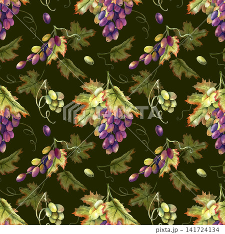 Seamless pattern grapes vine watercolor. Hand drawn illustrations isolated on dark green background. Bunches, red berries, leaves, grapevine tendrils. For premium wine packaging, kitchen textile Seamless pattern grapes vine watercolor. Hand drawn illustrations isolated on dark green background. Bunches, red berries, leaves, grapevine tendrils. For premium wine packaging, kitchen textile 141724134