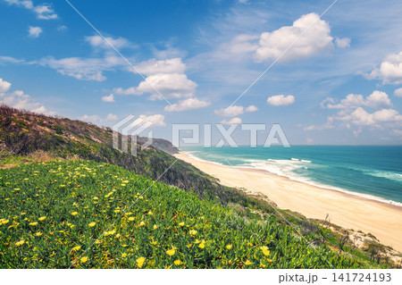 Rocky seashore on a sunny day. The beautiful flowering slope of the mountain. Paredes da Vitoria Beach, Portugal, Europe Rocky seashore on a sunny day. The beautiful flowering slope of the mountain. Paredes da Vitoria Beach, Portugal, Europe 141724193