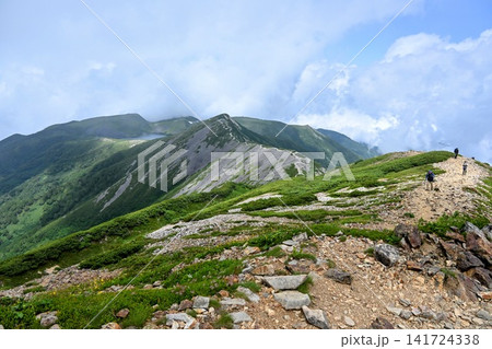 小蓮華山から眺める夏の稜線 小蓮華山から眺める夏の稜線 141724338