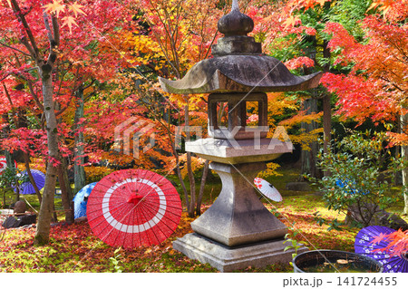 京都 勝林寺 秋の美しい紅葉(京都府京都市東山区) 京都 勝林寺 秋の美しい紅葉(京都府京都市東山区) 141724455