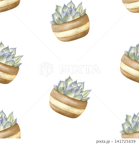 Watercolor seamless pattern with illustration cute succulent plants in pots. Hand drawn botanical background on white for eco design, wrapping paper, fabric and home decor. 141725839