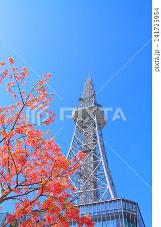 愛知県名古屋市、名古屋テレビ塔と桜の風景 愛知県名古屋市、名古屋テレビ塔と桜の風景 141725954
