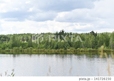 Lake near woodland with lush vegetation and calm water surface. Lake near woodland with lush vegetation and calm water surface. 141726150