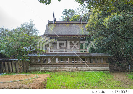 島根 長浜神社 本殿 島根 長浜神社 本殿 141726529