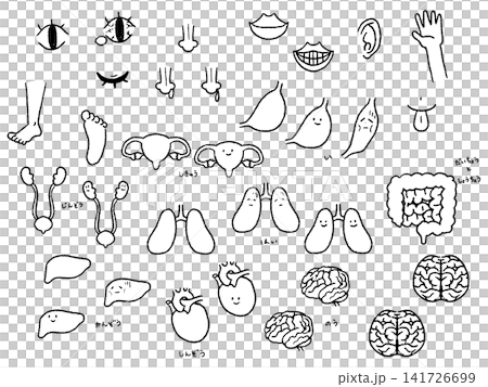 A set of hand-drawn illustrations of body parts and organs, in black and white. A set of hand-drawn illustrations of body parts and organs, in black and white. 141726699