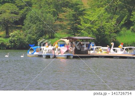夏の志高湖(貸しボート・白鳥・別府市) 夏の志高湖(貸しボート・白鳥・別府市) 141726754