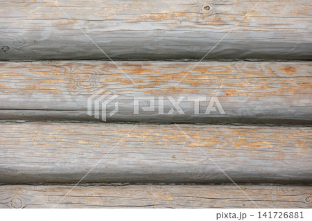 Weathered wooden log wall with peeling gray paint Weathered wooden log wall with peeling gray paint 141726881