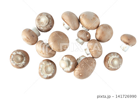 Scattered fresh baby Portobello mushrooms isolated on white background top view Scattered fresh baby Portobello mushrooms isolated on white background top view 141726990