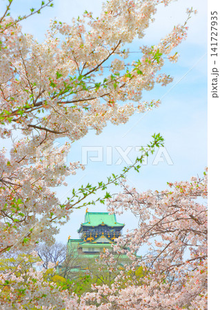 大阪府大阪市、桜と大阪城の風景 大阪府大阪市、桜と大阪城の風景 141727935