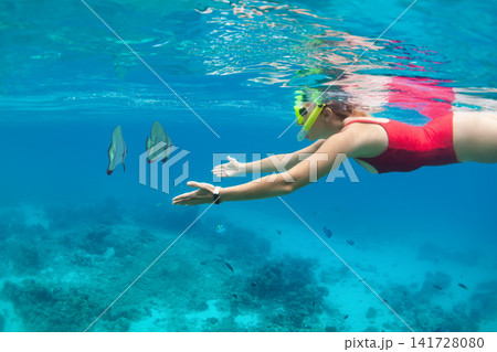 Young woman snorkeling with fishes in turquoise clear water above vibrant coral reef in Menjangan Park, Bali, Indonesia. Family adventure, travel activities on summer vacation in tropical island Young woman snorkeling with fishes in turquoise clear water above vibrant coral reef in Menjangan Park, Bali, Indonesia. Family adventure, travel activities on summer vacation in tropical island 141728080