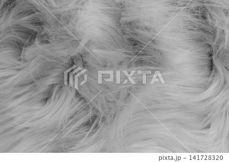 Grey soft wool pattern texture abstract gray fluffy fur background structure backdrop Grey soft wool pattern texture abstract gray fluffy fur background structure backdrop 141728320