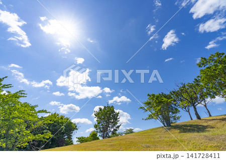 夏の青空と雲と草原 夏の青空と雲と草原 141728411