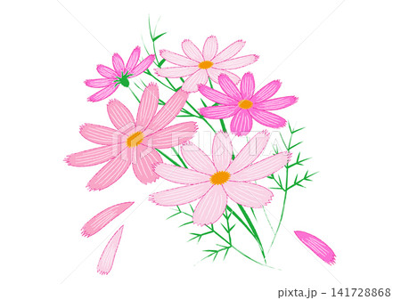 ピンク色のコスモスの花のイラスト 141728868