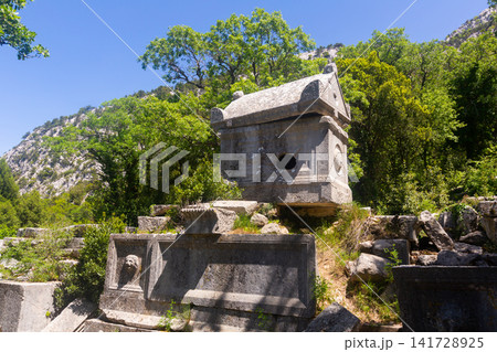 View of the sarcophagi of the Northeastern Necropolis in the city of Termessos View of the sarcophagi of the Northeastern Necropolis in the city of Termessos 141728925