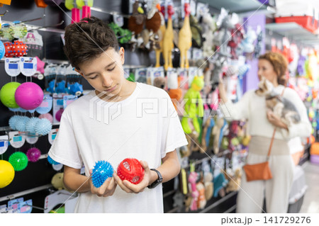 Interested teenager choosing toys for four-legged friend in pet shop Interested teenager choosing toys for four-legged friend in pet shop 141729276