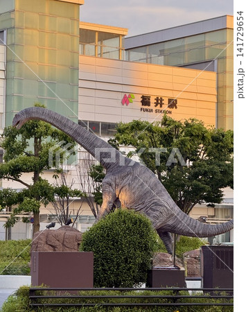 恐竜のいる生活 春の夕方の福井駅前恐竜広場 恐竜のいる生活 春の夕方の福井駅前恐竜広場 141729654